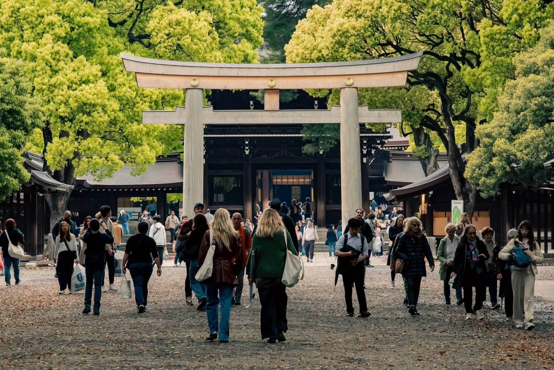 Visitors walking toward the inner torii gate along the gravel path surrounded by tall trees at Meiji Shrine